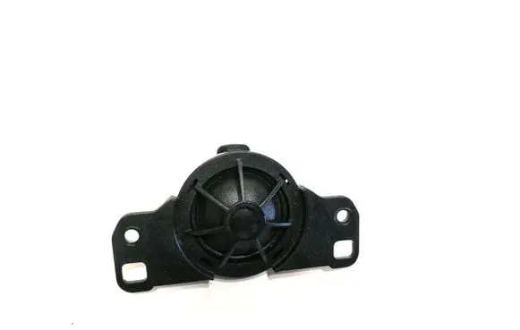 Panel speaker