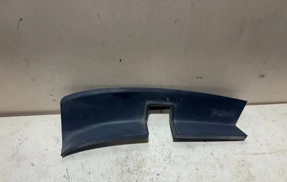 Rear/tail light trim molding