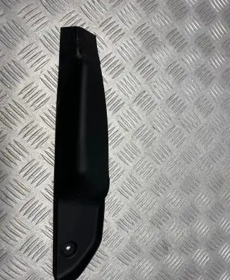 Rear/tail light trim molding