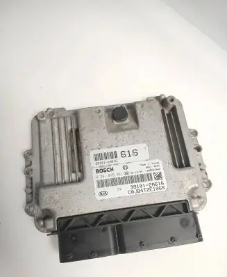 KIA Rio Engine control unit/module 391012A616 0281015461