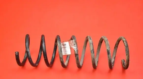Rear coil spring