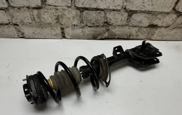Chrysler Pacifica Front shock absorber with coil spring 333944R