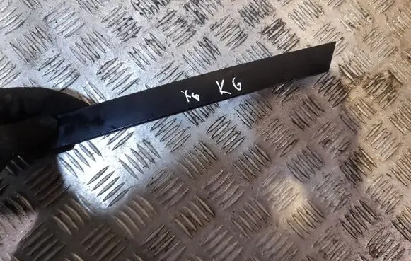 BMW X6 E71 Other rear door trim element NERA