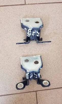 Renault Lodgy Rear door hinge set 