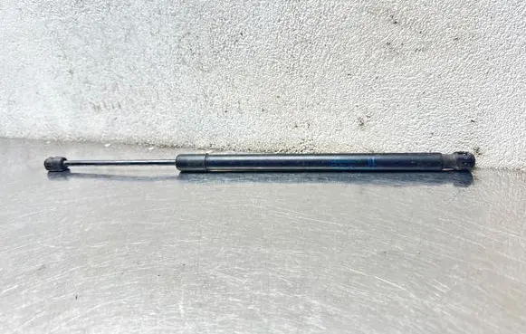 Opel Insignia A Tailgate/trunk strut/damper 315005777 13321298 0226020660N
