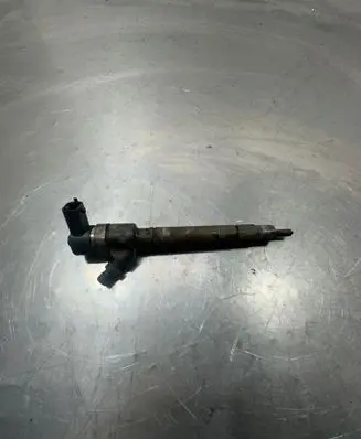 Volvo V70 Fuel injector 0445110251