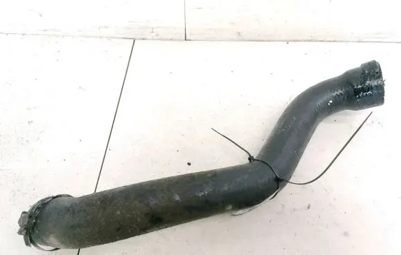 Renault Scenic I Intercooler hose/pipe