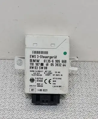 BMW 5 E39 Immobilizer control unit/module 61356905668 05393244 110187