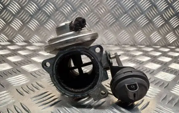Seat Leon (1M) EGR valve 038129637 038131501E