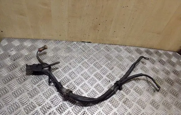 Audi A6 S6 C4 4A Wires (generator/alternator) 443971881G