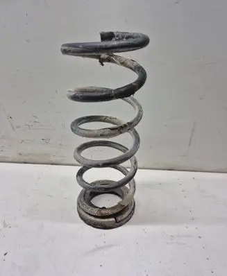 Rear coil spring
