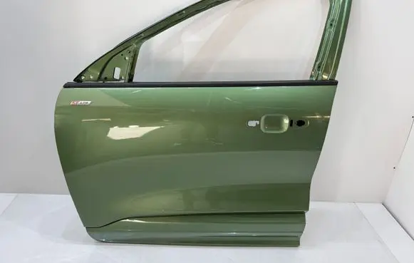 Ford Kuga III Front door 