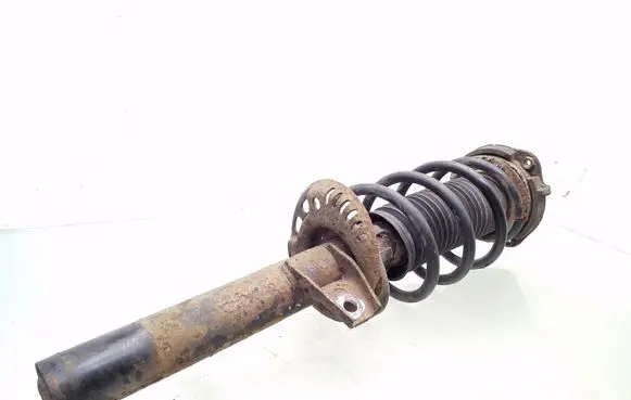 Front shock absorber with coil spring