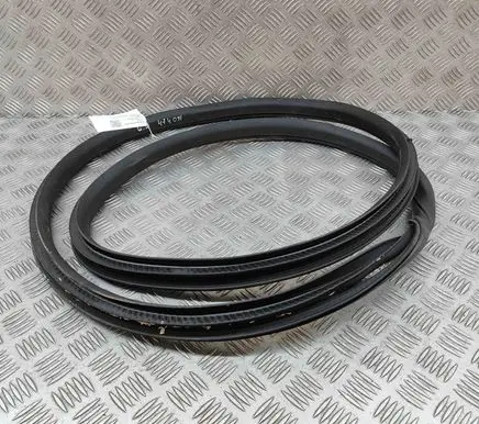 Jaguar I-Pace Rubber seal rear door J9D3253A10A