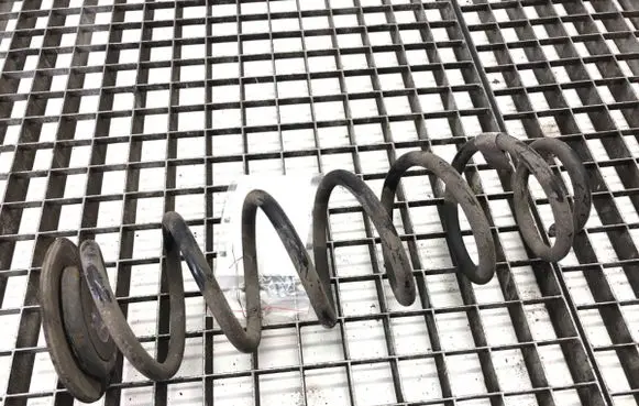 Rear coil spring