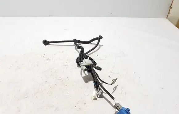 Lexus NX Other wiring loom 8218178120F