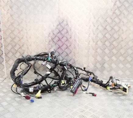 Tesla Model S Other wiring loom 100442281M