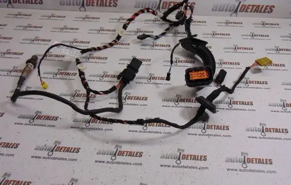 Front door wiring loom