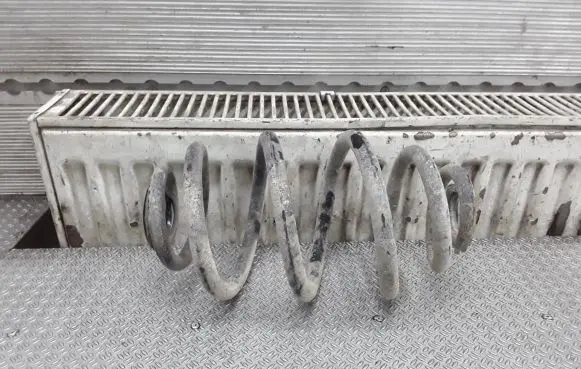 Volkswagen PASSAT B5.5 Rear coil spring