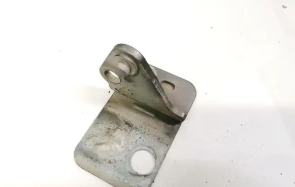 Seat Altea Rear door lower hinge