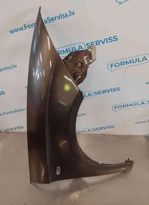 Seat Toledo III (5P) Fender