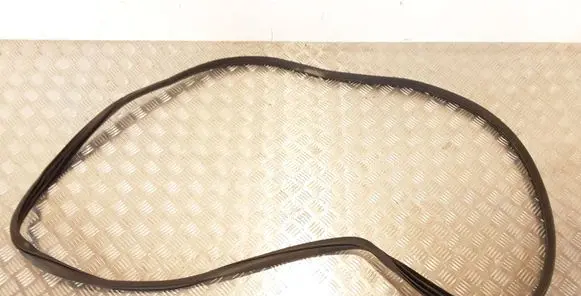 Hyundai Santa Fe Rear door rubber seal (on body) 