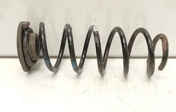 Rear coil spring
