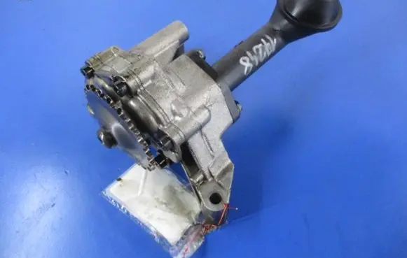 Seat Altea XL Oil pump 11346030911