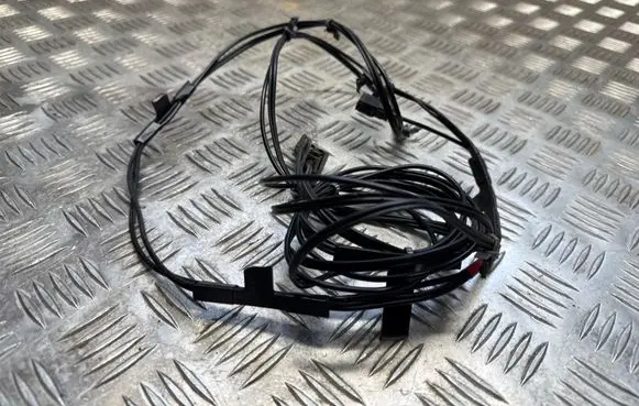Other wiring loom
