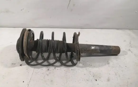 Peugeot 206 Front shock absorber with coil spring