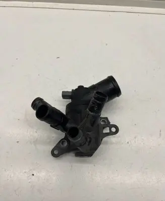 Nissan Qashqai Thermostat 110617069R
