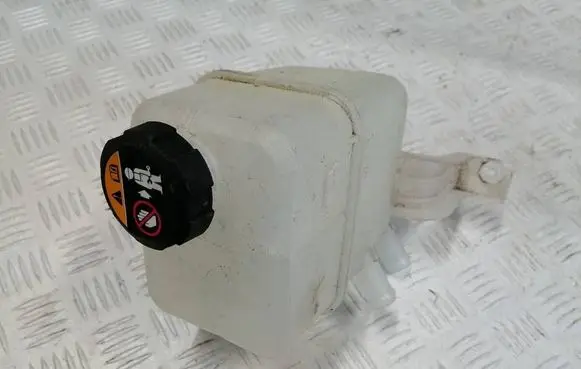 Hyundai Kona I Coolant expansion tank/reservoir 25430J2000