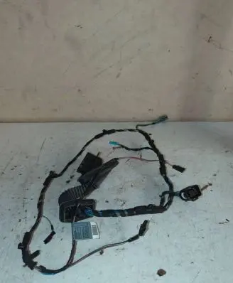 BMW 1 E81 E87 Front door wiring loom 6928672 25022008 04465L203342401