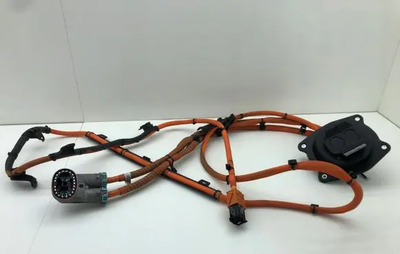 BMW X1 U11 Front door wiring loom/harness boot 