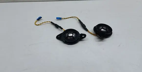 Front door high frequency speaker