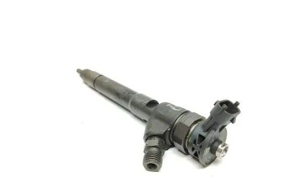 Nissan Qashqai Fuel injector H1055367 0445110414