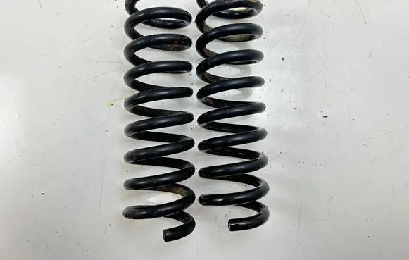 Rear coil spring