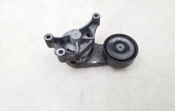 Volkswagen Golf V Timing belt/chain tensioner 06F903315