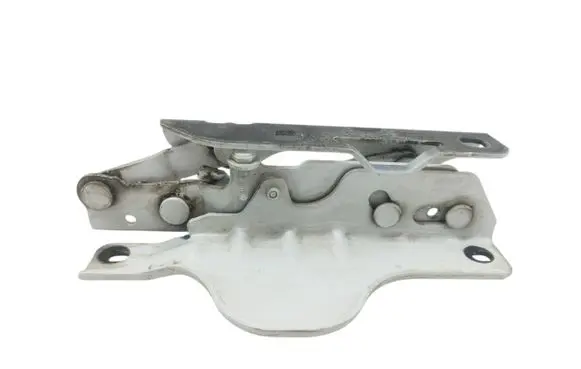 Tesla Model S Engine bonnet/hood hinges 102928500B