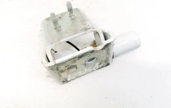 Renault Clio III Rear door lower hinge