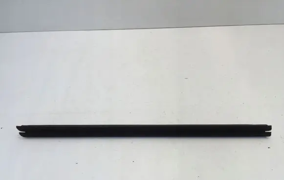 BMW 1 F40 Front door glass trim molding 7452368