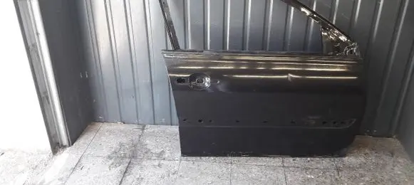 Renault Megane II Front door