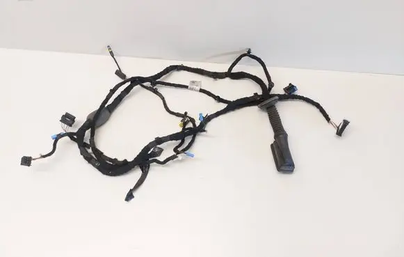 BMW 3 G20 G21 Front door wiring loom 5A20663 11107811