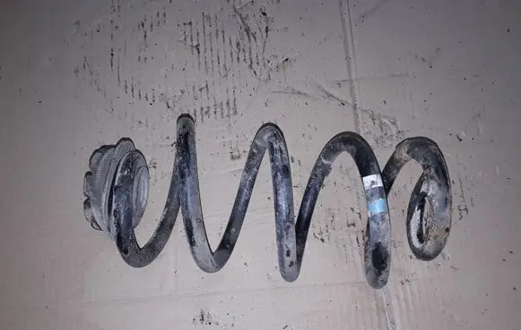 Nissan Qashqai Rear coil spring NOCODE