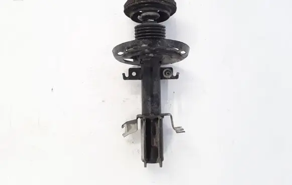 Renault Megane III Front shock absorber/damper 543020008R