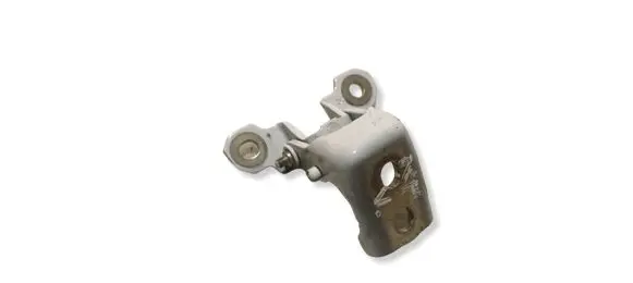 Renault Kangoo III Front door upper hinge A073550