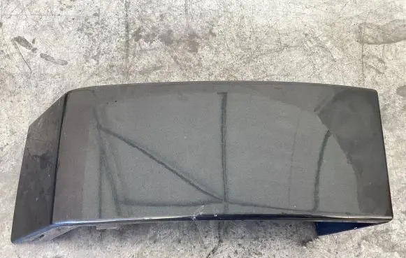 Rear/tail light trim molding