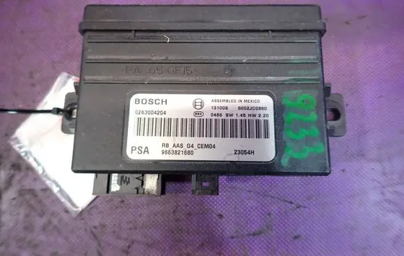 Citroen Berlingo Other control units/modules 0263004204