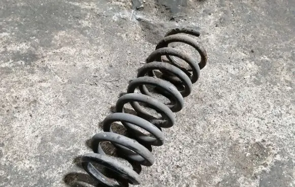 KIA Carens I Rear coil spring