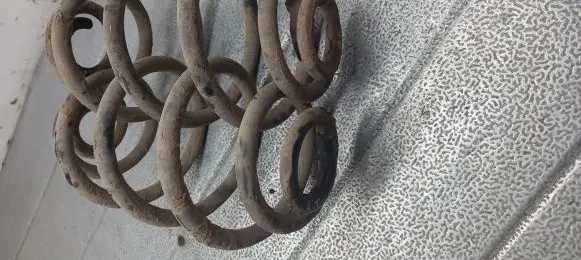 Volkswagen PASSAT B5.5 Rear coil spring